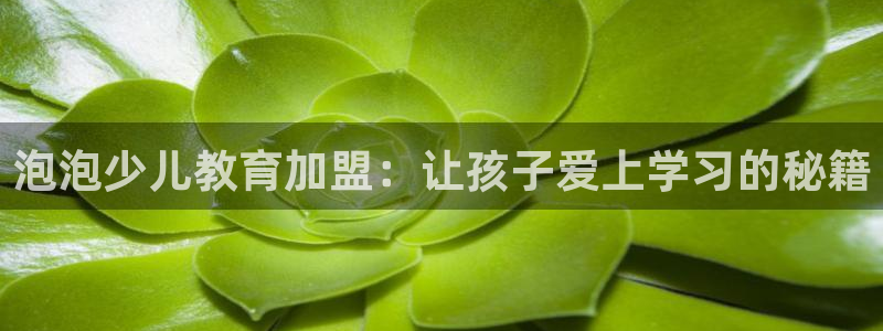 必一运动官网装机吧