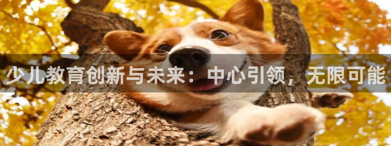 必一体育app下载装机吧