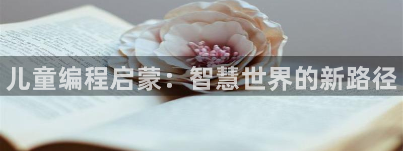 必一体育运动app下载