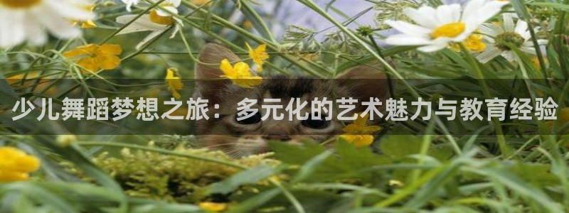 必一体育sport下载