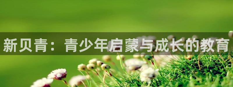 必一体育官方app下载