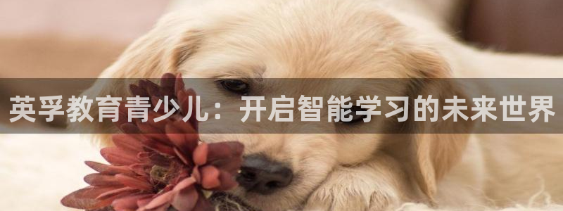 必一体育app下载