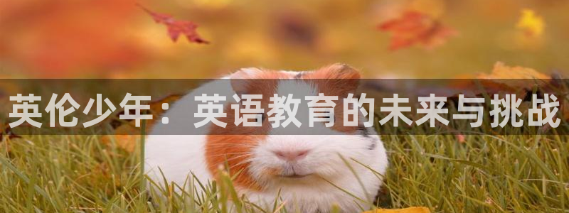 必一运动短信