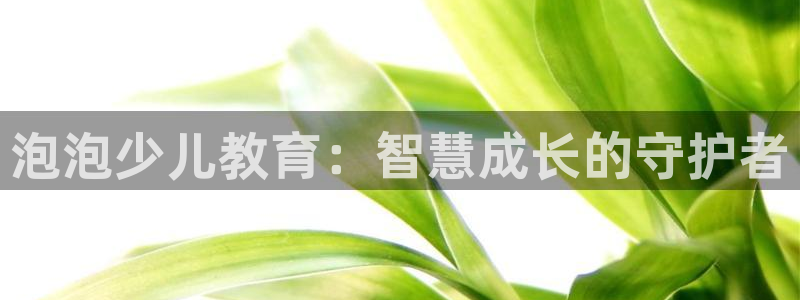 必一体育bsport下载