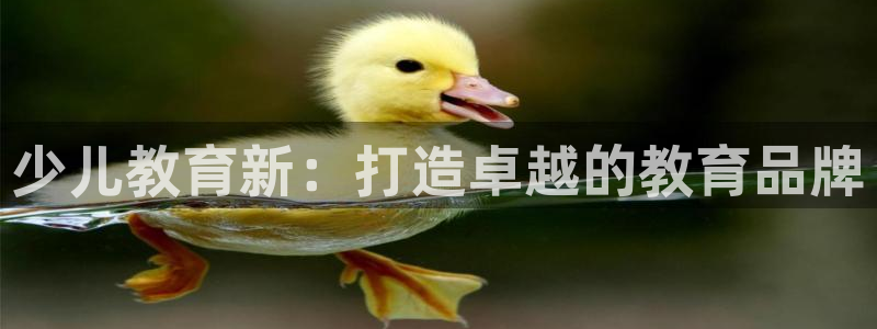 必一体育运动平台官网