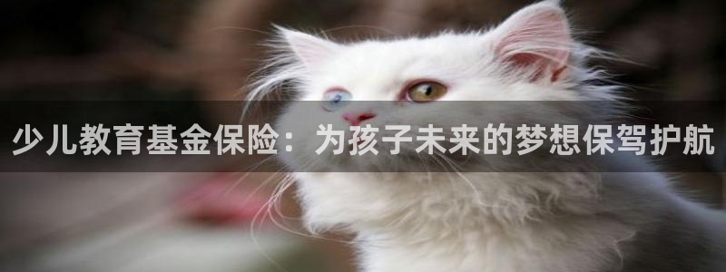 必一体育APP下载安装