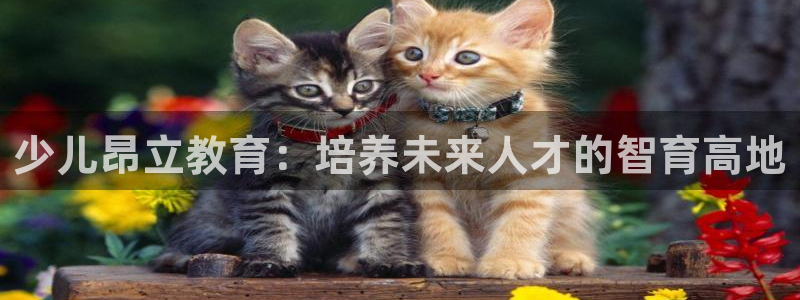 必一体育下载