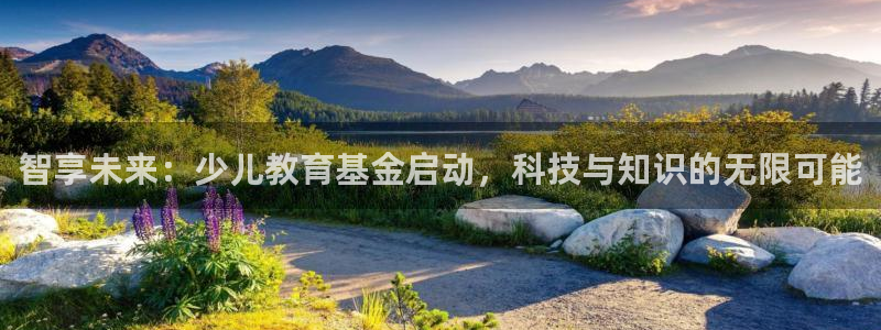 必一体育官网网站