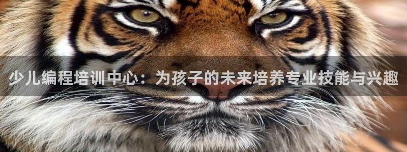 必一体育平台