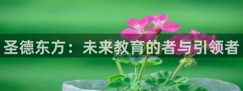 必一体育sport官网