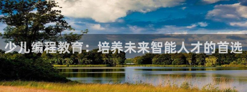 必一体育没了