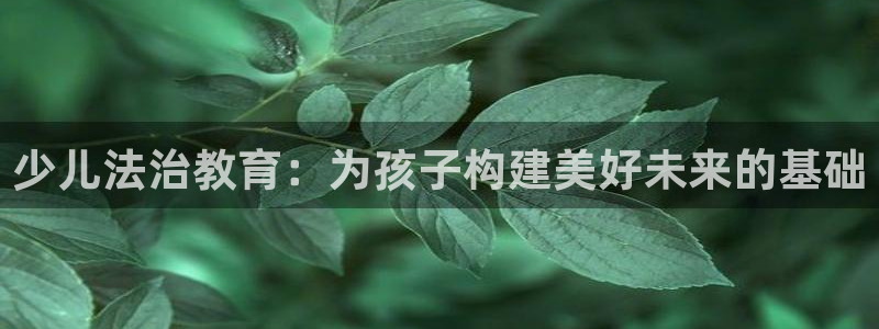 必一体育验证码