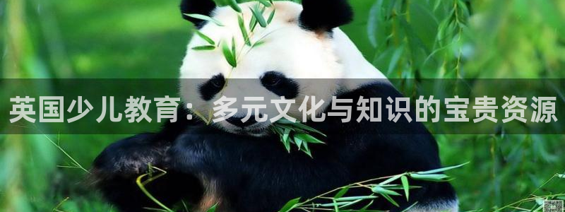 必一体育sport下载