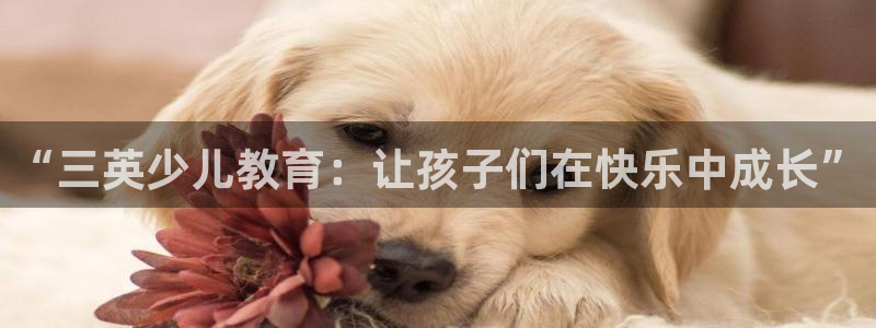 必一体育在线登陆