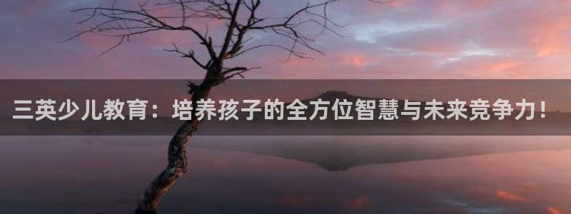 必一体育黑平台